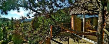 Фото номера Шале Шале Radihaus &amp; Treehaus Żar г. Мендзыбродзе-Живецке 59